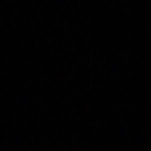 Meet your Posher, Delaney